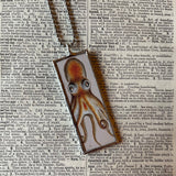 Octopus, letter O, vintage illustrations up-cycled to soldered glass pendant