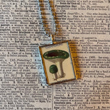 1 Mushroom and fungus, vintage natural history illustrations up-cycled to soldered glass pendant