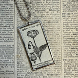 Opium Poppy vintage botanical dictionary illustration, upcycled to soldered glass pendant