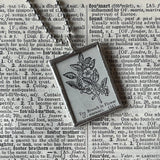 1 - Tea Leaves, tea plant - vintage natural history illustrations up-cycled to soldered glass pendant
