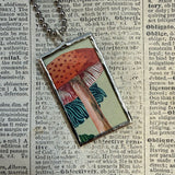 Mushroom and fungus, vintage illustrations up-cycled to soldered glass pendant