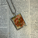 Peonies, vintage illustrations up-cycled to soldered glass pendant