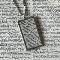 1 Cacao pod, cocoa, chocolate, vintage botanical dictionary illustration, up-cycled to soldered glass pendant