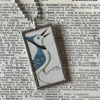 1 Owl, Blue Jay, vintage children's book illustrations up-cycled to soldered glass pendant