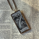 Gourds, vintage botanical dictionary illustration, upcycled to soldered glass pendant