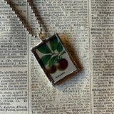 Persimmon and pomegranate vintage fruit illustrations up-cycled to soldered glass pendant