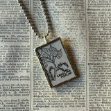 Carolina Poplar, Sequoia tree vintage field guide illustrations, up-cycled to hand-soldered glass pendant