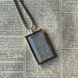 Raspberry, vintage botanical dictionary illustration, upcycled to soldered glass pendant