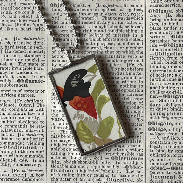 1 Rose Breasted Gros beak bird - vintage illustrations up-cycled to soldered glass pendant