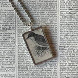 1 Robin, bird vintage illustrations, upcycled to soldered glass pendant