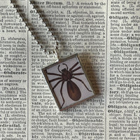 Spiders, vintage illustrations, up-cycled to soldered glass pendant