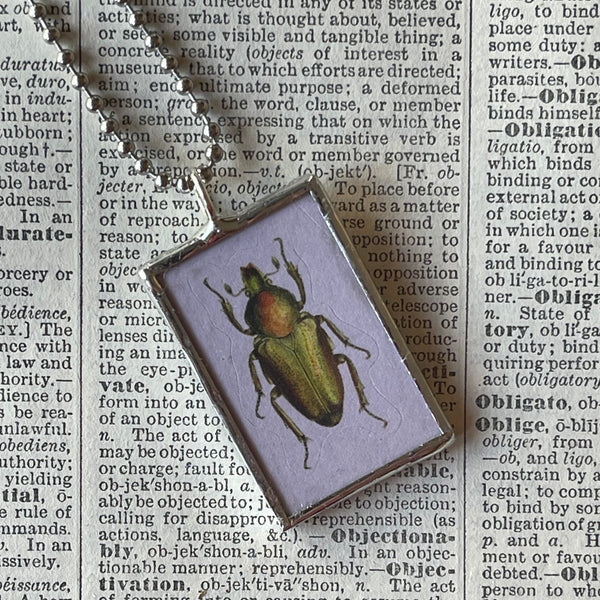 1 Beetle, natural history illustrations, up-cycled to soldered glass pendant