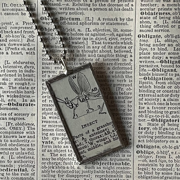 1 Insect annotated vintage dictionary illustration, up-cycled to soldered glass pendant