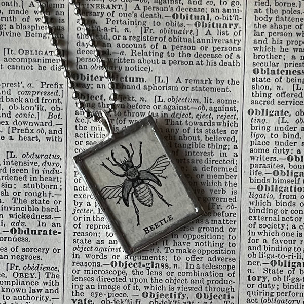 1 Beetle, vintage dictionary illustration, up-cycled to soldered glass pendant