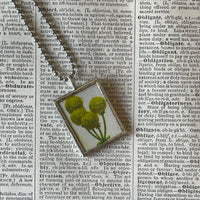 1 Thistle, craspedia flowers, vintage illustrations up-cycled to soldered glass pendant