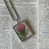 1 Thistle, craspedia flowers, vintage illustrations up-cycled to soldered glass pendant