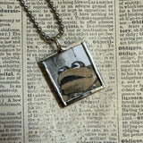 Frog and Toad, vintage children's book illustrations, up-cycled to soldered glass pendant