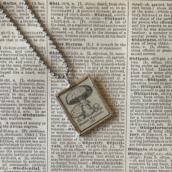 1 Mushroom - vintage natural history illustrations up-cycled to soldered glass pendant