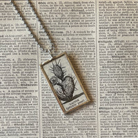 1 Cactus - vintage natural history illustrations up-cycled to soldered glass pendant