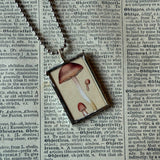 Mushroom and fungus, vintage natural history illustrations up-cycled to soldered glass pendant