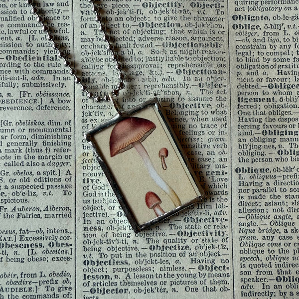 Mushroom and fungus, vintage natural history illustrations up-cycled to soldered glass pendant