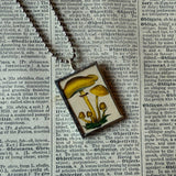 Mushroom and fungus, vintage natural history illustrations up-cycled to soldered glass pendant