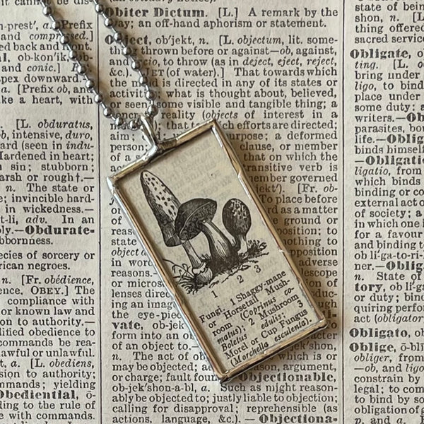 1 Mushrooms - vintage natural history illustrations up-cycled to soldered glass pendant