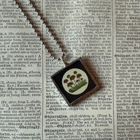 Mushroom and fungus, vintage natural history illustrations up-cycled to soldered glass pendant