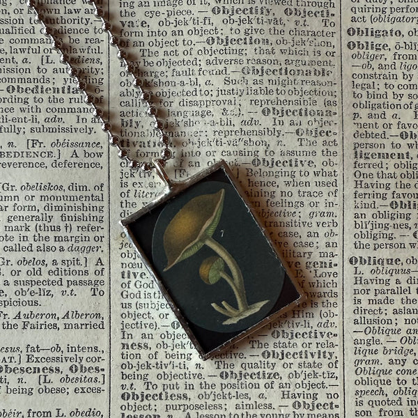 Mushroom and fungus, vintage natural history illustrations up-cycled to soldered glass pendant