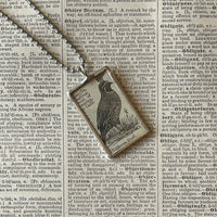1 California Quail, vintage illustration upcycled to soldered glass pendant