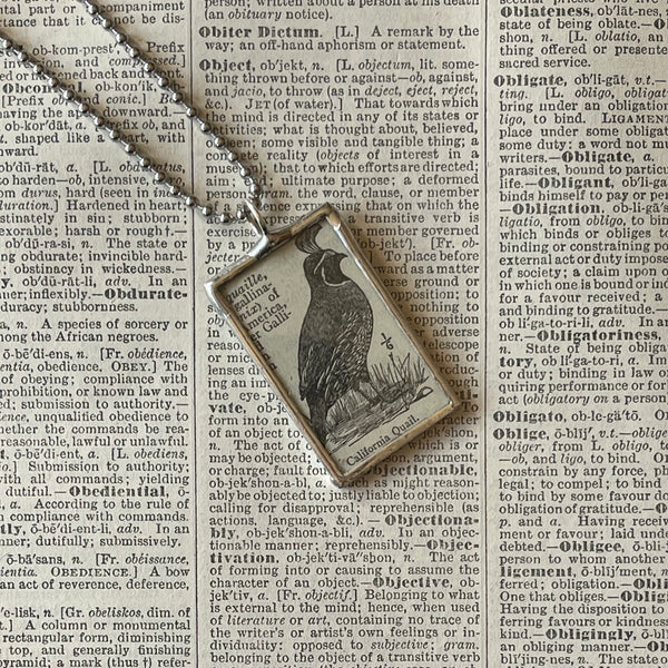 1 California Quail, vintage illustration upcycled to soldered glass pendant