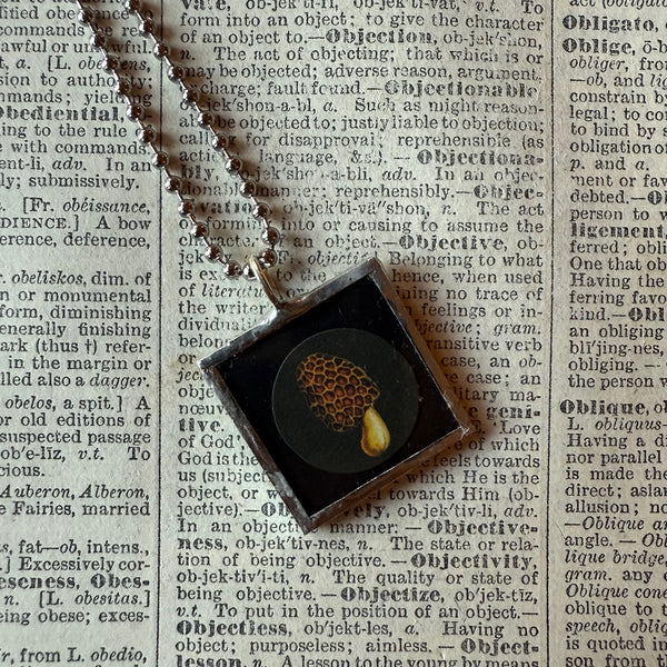 Mushroom and fungus, vintage natural history illustrations up-cycled to soldered glass pendant
