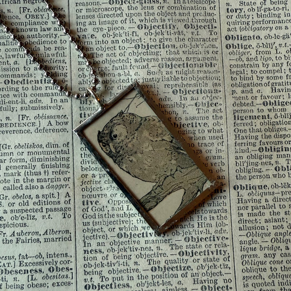 Owl, blackbird, vintage children's book illustrations, up-cycled to soldered glass pendant