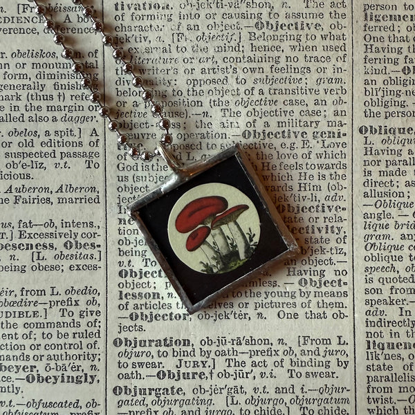 Mushroom and fungus, vintage natural history illustrations up-cycled to soldered glass pendant