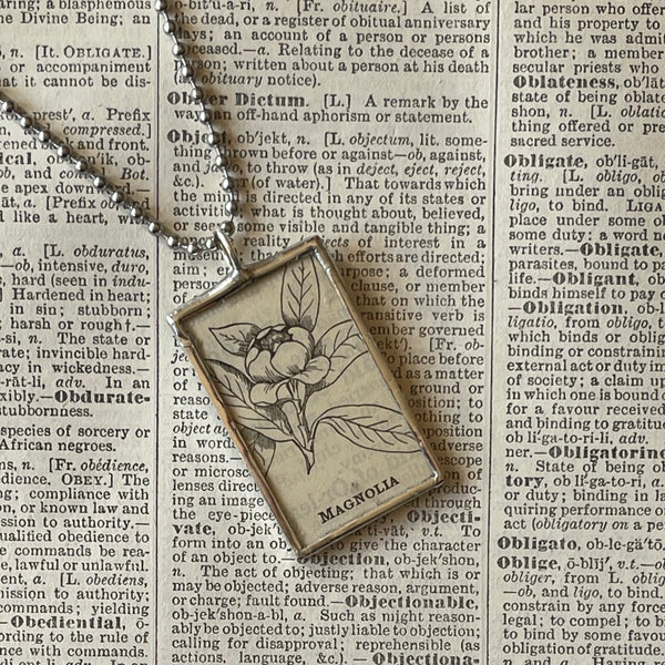 1 Magnolia, vintage botanical dictionary illustration, up-cycled to soldered glass pendant