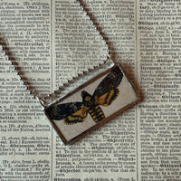 Death's head hawkmoth, moon dust, vintage illustration upcycled to hand-soldered glass pendant