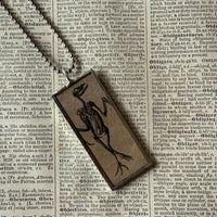 Bird Skeleton / Skull, vintage illustrations up-cycled to soldered glass pendant