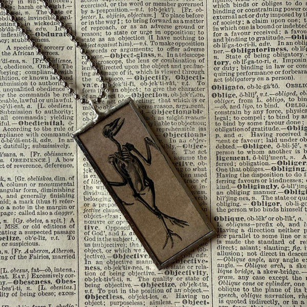 Bird Skeleton / Skull, vintage illustrations up-cycled to soldered glass pendant