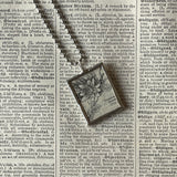 1 Passion flower, vintage botanical dictionary illustration, up-cycled to soldered glass pendant