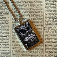 Owls, vintage illustrations, up-cycled to soldered glass pendant