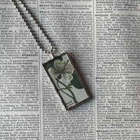 Red cinquefoil flower, white , botanical illustrations, up-cycled to soldered glass pendant