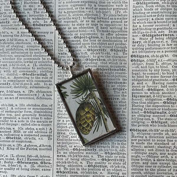 1 - Pinecones, juniper, pine trees, botanical illustrations, up-cycled to soldered glass pendant