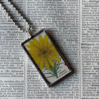 Adonis flowers, botanical illustrations, up-cycled to soldered glass pendant