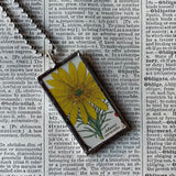 Adonis flowers, botanical illustrations, up-cycled to soldered glass pendant