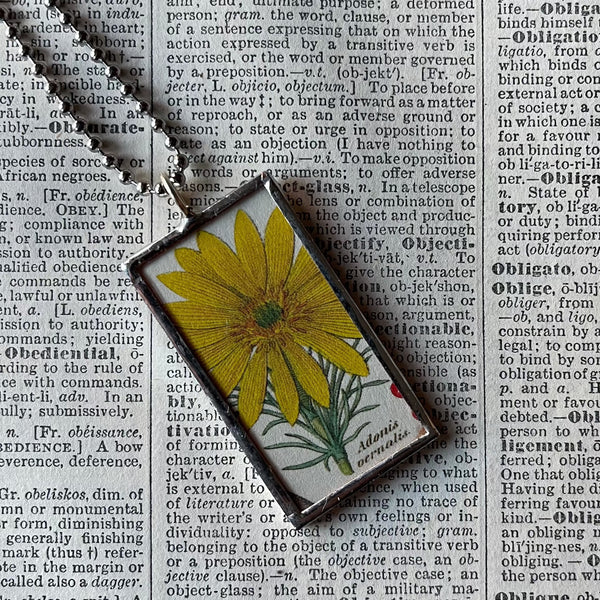 1 - Adonis flowers, botanical illustrations, up-cycled to soldered glass pendant