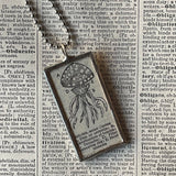 Jellyfish - vintage 1930s dictionary illustration up-cycled to soldered glass pendant