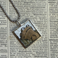 Frog and Toad, vintage children's book illustrations, up-cycled to soldered glass pendant