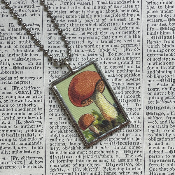 Mushroom and fungus, vintage natural history illustrations up-cycled to soldered glass pendant