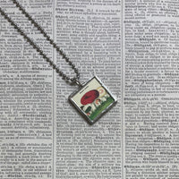 Mushroom and fungus, vintage natural history illustrations up-cycled to soldered glass pendant