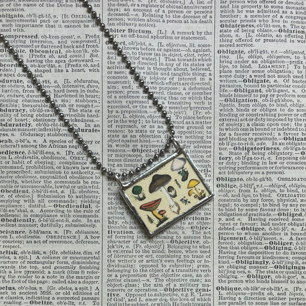 Mushroom and fungus, vintage natural history illustrations up-cycled to soldered glass pendant